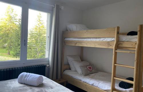 Les bouquetins - Foto 15