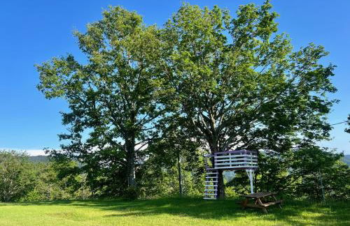 Il Serrino 2 - Foto 29