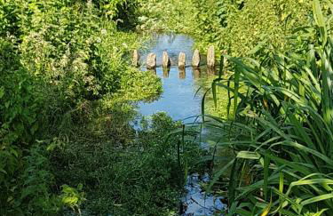 Streamside Apartments - Foto 58