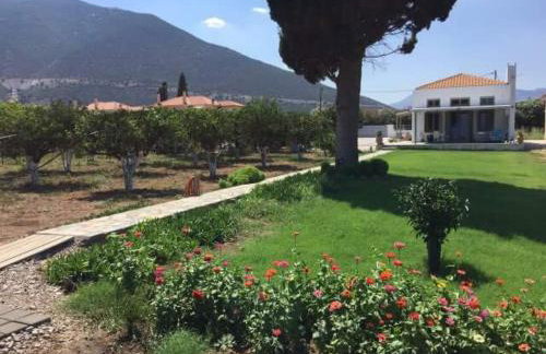 Villa Maria - Photo 49