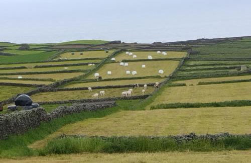 Casa da Tia Avelina - Photo 26