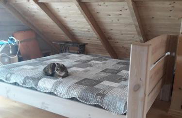 Bieszczady Chata - Foto 150