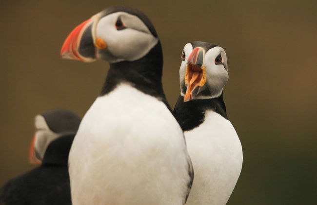 Pier Apartments - Photo 13