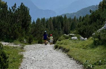 Sogno delle Dolomiti - Photo 66