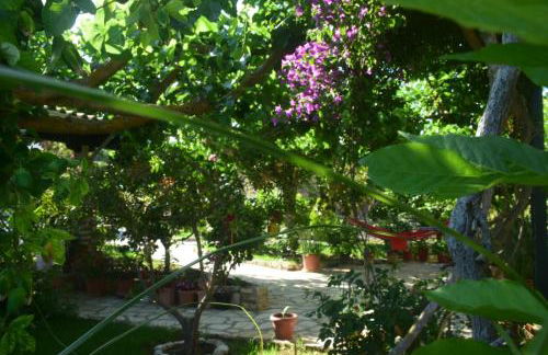 Sparto Village - Photo 21