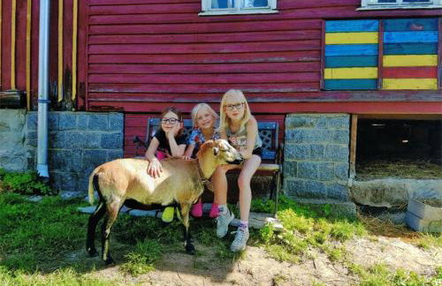 Kastanienhof - Photo 2