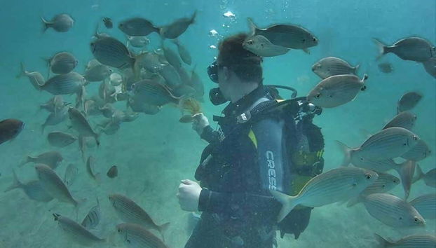 Scuba Diving in Kemer - Foto 5