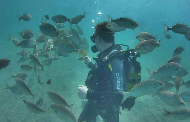 Scuba Diving in Kemer - Foto 5