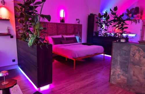 Loft architecte exceptionnel avec mini piscine design - Foto 29