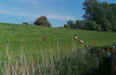 Lütte Hütte - Photo 17