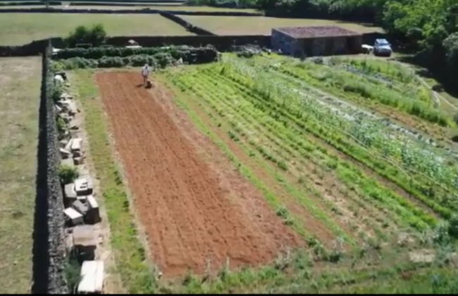 Quinta de São Braz - Foto 32