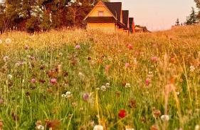 Śtyry Pory Roku - Foto 46