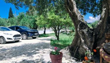 Olivo Apartment - Foto 5