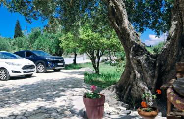 Olivo Apartment - Foto 5