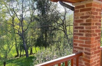 Il nocciòlo di Daisy - Foto 24