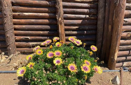 Villa Ohana - Photo 19