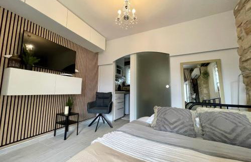 Villa AMore Radini Istrian antique stone house Studio with private parking and terrace - Foto 2