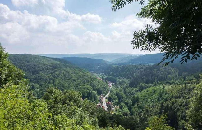 Apartment in Thale by Fishing River - Foto 37