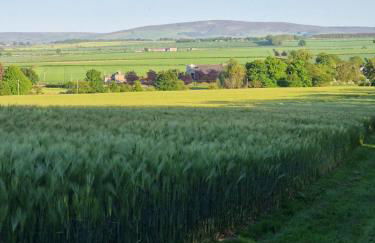 Jerusalem Farm Pods - Foto 19