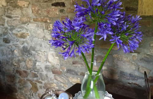 La Casona de Benito - Foto 40