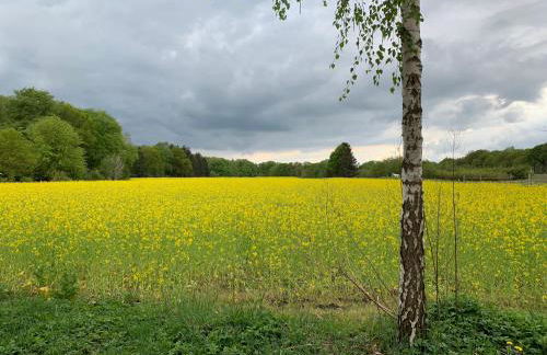 mitten im dorf - Foto 45