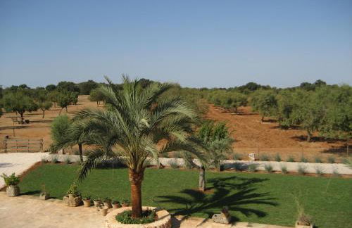 son capellot - Foto 74