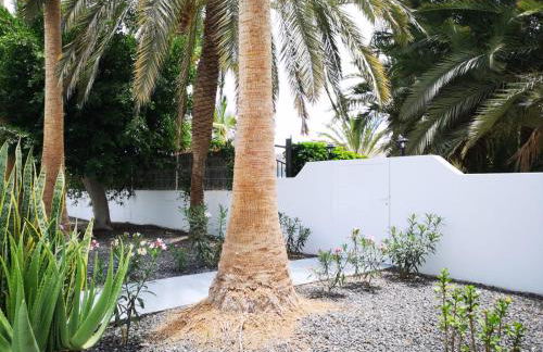 Estrella de Mar - Photo 36