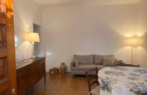 Piccola Bouganville - Foto 8