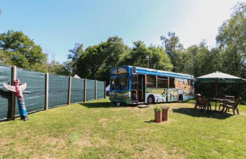 The White Cloud Bus - Foto 1