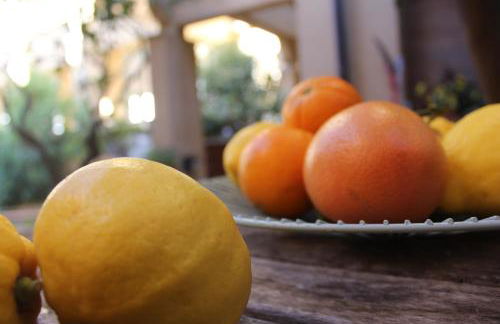 Les Agrumes - Foto 19