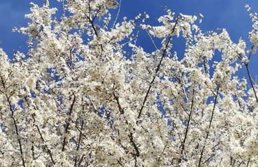 Le Patio 4*. SPA, jardin, piscine en provence, proche Grignan - Foto 47
