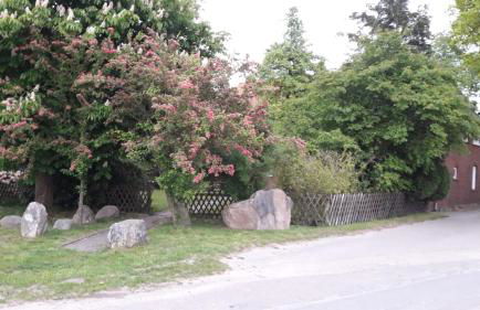 Ferienhof Steinbruch - Foto 10