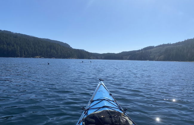 Heartwood Retreats - Foto 50