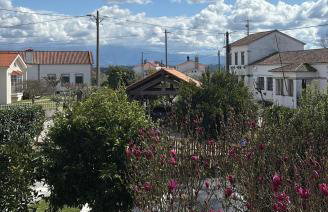 Casa dos avós - Foto 4