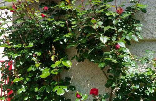 LE REFUGE DU DRAPEAU Maison avec 4 chambres proche du centre historique - Foto 23