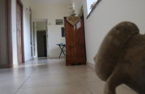 Palazzo Rosso - Foto 72