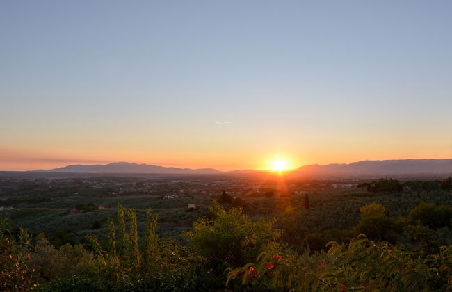 Agriturismo Podere Rondinaio - Foto 54