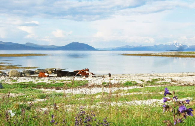 6 Person Holiday Home in Laukvik-by Traum - Foto 9