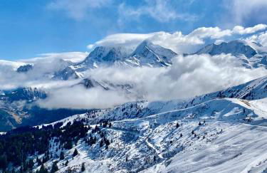 Residence le Grand Panorama - with garden & view - Foto 39