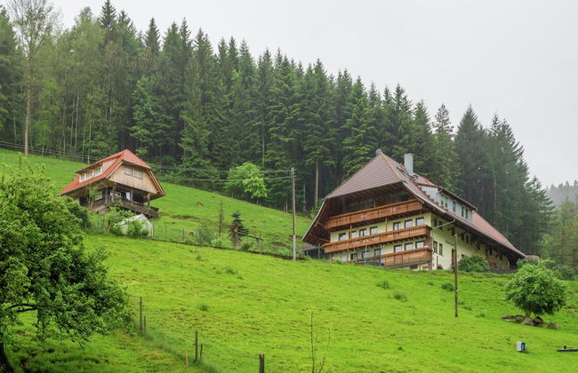 Apartment on a Farm on the Edge of the Forest - Foto 21