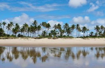 Apartamento à beira-mar: ideal para famílias . - Foto 16