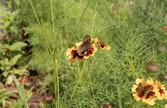 TEKOÁ - Cabana Pitanga - Barreiro, Araxá - Foto 24