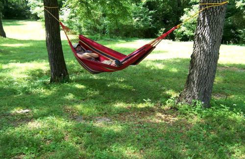 Hillbilly Chic Tiny House Near Nashville with WiFi, Kitchenette, Fire Pit & Trails - Foto 43