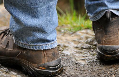 Gors Y Gader - Foto 19