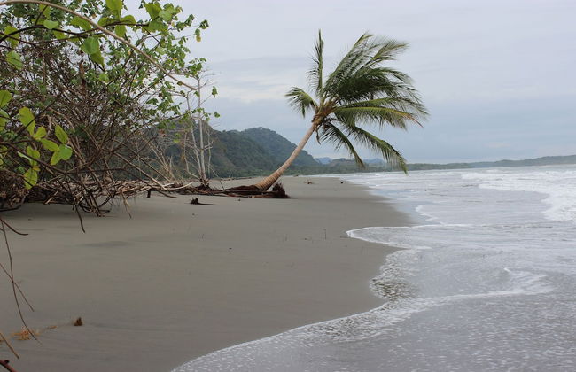 Villas de Oros - Foto 23