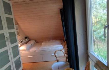 Seemöwe 1 - Foto 14