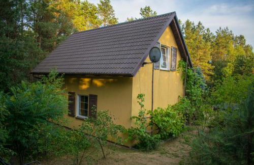 Gospodarstwo agroturystyczne nad jeziorem wśród lasów - Foto 5