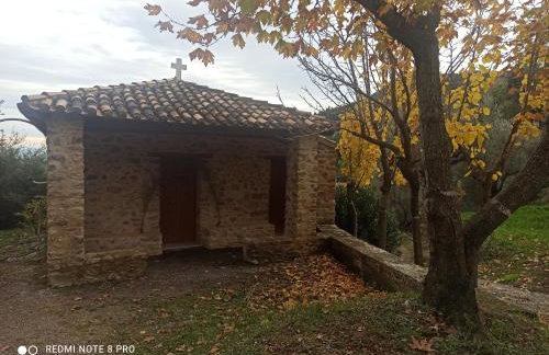 ForestRock Studio FOR SALE TOO - Foto 33