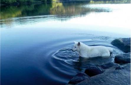 Linhal das Meias - São José das Matas - Foto 46