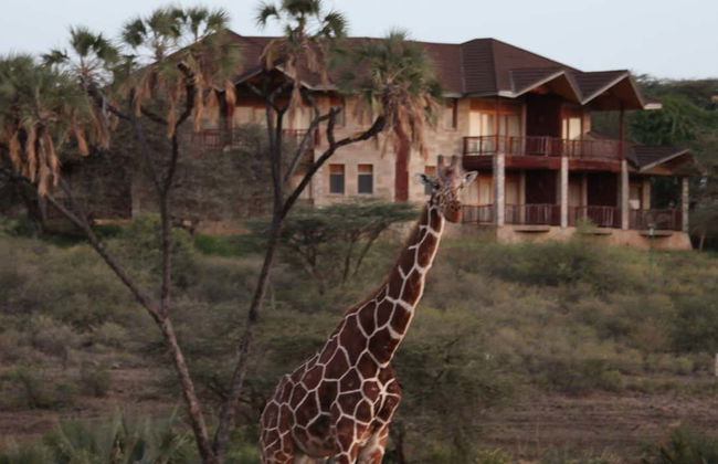 Safari privado de 2 o 3 días por la Reserva Nacional de Samburu - Foto 7